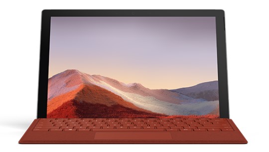 陆川清洁和维护 Surface